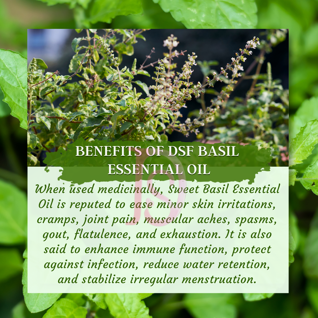 BASIL OIL PURE